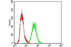 Flow cytometric analysis of A431 cells using RAP1GAP mouse mAb (green) and negative control (red). (RAP1GAP 抗体  (AA 412-660))