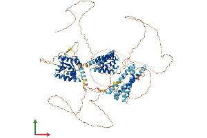 AlphaFold protein structure predicition of Human Recombinant SWT1 Protein, UniprotID Q5T5J6