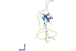 Protein Structure (PS) image for Cone-Rod Homeobox (CRX) (AA 1-299) protein (His tag) (ABIN7546770)