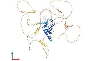 Protein Structure (PS) image for HIV-1 Rev Binding Protein (HRB) (AA 1-562) protein (His tag) (ABIN7551989)
