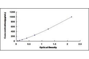 Typical standard curve (FGF4 ELISA 试剂盒)