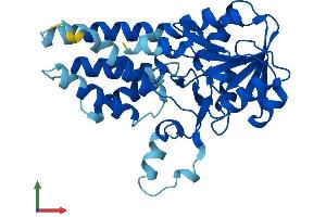 AlphaFold protein structure predicition of Mouse Recombinant Eif2b1 Protein, UniprotID Q99LC8