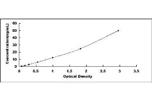 Typical standard curve (Cathepsin D ELISA 试剂盒)