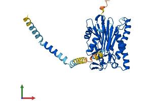 AlphaFold protein structure predicition of Human Recombinant PPM1L Protein, UniprotID Q5SGD2