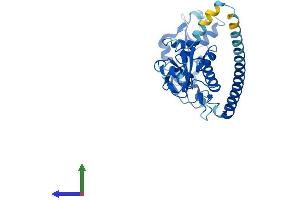 AlphaFold protein structure predicition of Human Recombinant RNF41 Protein, UniprotID Q9H4P4