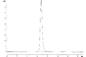 Size-exclusion chromatography-High Pressure Liquid Chromatography (SEC-HPLC) image for V-Erb-A erythroblastic Leukemia Viral Oncogene Homolog 4 (Avian) (ERBB4) (AA 26-651) protein (His-Avi Tag) (ABIN7274805)