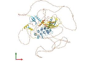 AlphaFold protein structure predicition of Human Recombinant MPHOSPH8 Protein, UniprotID Q99549 (MPHOSPH8 Protein (AA 1-860) (His tag))