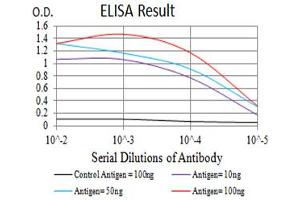 Black line: Control Antigen (100 ng),Purple line: Antigen (10 ng), Blue line: Antigen (50 ng), Red line:Antigen (100 ng) (CD207 抗体  (AA 155-328))