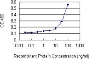 Detection limit for recombinant GST tagged PRDX6 is 3 ng/ml as a capture antibody. (Peroxiredoxin 6 抗体  (AA 1-224))