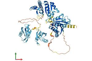 Protein Structure (PS) image for Insulin-Like Growth Factor 2 mRNA Binding Protein 1 (IGF2BP1) (AA 1-577) protein (His tag) (ABIN7562610)