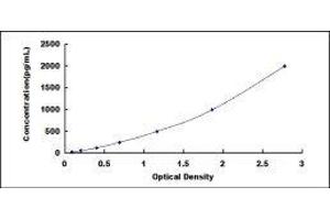 Typical standard curve (TXN ELISA 试剂盒)