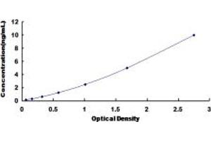 Typical standard curve (CDKN3 ELISA 试剂盒)