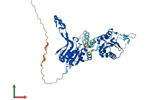 Protein Structure (PS) image for Cytidine Monophosphate N-Acetylneuraminic Acid Synthetase (CMAS) (AA 1-434) protein (His tag) (ABIN7549784)