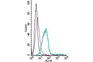 anti-Prostacyclin Receptor (PTGIR) (AA 290-302), (Extracellular) antibody (FITC)