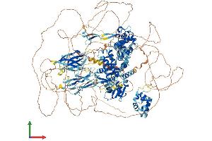 AlphaFold protein structure predicition of Human Recombinant HECW2 Protein, UniprotID Q9P2P5