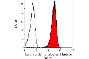 Flow Cytometry (FACS) image for anti-HECT, UBA and WWE Domain Containing 1, E3 Ubiquitin Protein Ligase (HUWE1) (AA 2250-2300) antibody (ABIN7455157)