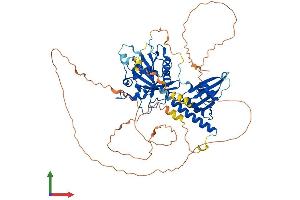 Protein Structure (PS) image for RAP1 GTPase Activating Protein (RAP1GAP) (AA 1-663) protein (His tag) (ABIN7561934)
