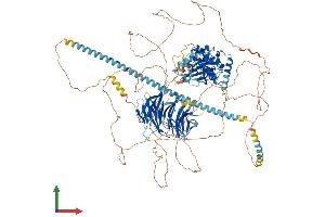 AlphaFold protein structure predicition of Human Recombinant MINK1 Protein, UniprotID Q8N4C8