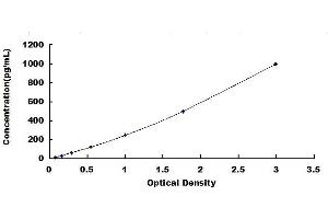 Typical standard curve (MMP12 ELISA 试剂盒)