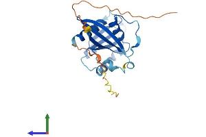 Protein Structure (PS) image for RAB33B, Member RAS Oncogene Family (RAB33B) (AA 1-229) protein (His tag) (ABIN7562394)