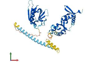 AlphaFold protein structure predicition of Human Recombinant VPS36 Protein, UniprotID Q86VN1