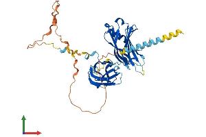 Protein Structure (PS) image for Synaptotagmin XV (SYT15) (AA 1-421) protein (His tag) (ABIN7544119)