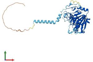 AlphaFold protein structure predicition of Mouse Recombinant A3galt2 Protein, UniprotID Q3V1N9 (alpha 1,3-Galactosyltransferase 2 (A3GALT2) (AA 1-370) protein (His tag))