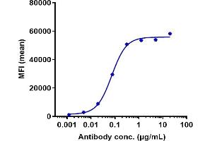 Human AXL HEK293 cells were stained with Anti-AXL / UFO Reference Antibody (tilvestamab) and negative control protein respectively, washed and then followed by PE and analyzed with FACS, EC50=0.