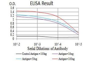 Black line: Control Antigen (100 ng), Purple line: Antigen(10 ng), Blue line: Antigen (50 ng), Red line: Antigen (100 ng), (DDX20 抗体  (AA 725-824))