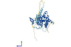 Protein Structure (PS) image for Septin 3 (SEPT3) (AA 1-350) protein (His tag) (ABIN7556393)
