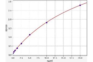 Typical standard curve (PLSCR2 ELISA 试剂盒)