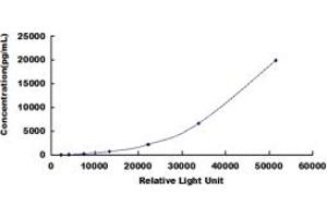 ELISA image for Complement Component 5a (C5a) CLIA Kit (ABIN491858)
