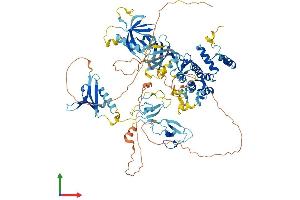 Protein Structure (PS) image for Protein Kinase D3 (PRKD3) (AA 1-890) protein (His tag) (ABIN7554393)