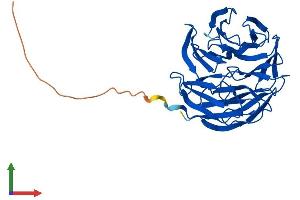 Protein Structure (PS) image for WD Repeat Domain 5B (WDR5B) (AA 1-330) protein (His tag) (ABIN7545167)