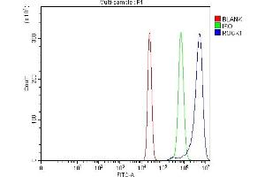 Flow Cytometry analysis of U20S cells using anti-ROCK1 antibody (ABIN7602158).