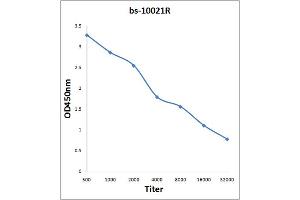 Antigen: 2 µg/100 µL  Primary: Antiserum, 1:500, 1:1000, 1:2000, 1:4000, 1:8000, 1:16000, 1:32000;  Secondary: HRP conjugated Rabbit Anti-Goat IgG at 1: 5000;  TMB staining Read the data in Microplate Reader by 450nm. (NLRP3 抗体  (AA 15-120))