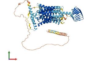 Protein Structure (PS) image for Synaptic Vesicle Glycoprotein 2A (SV2A) (AA 1-742) protein (His tag) (ABIN7561554)