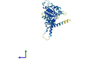 Protein Structure (PS) image for ATPase Family, AAA Domain Containing 1 (ATAD1) (AA 1-361) protein (His tag) (ABIN7561020)