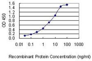 Detection limit for recombinant GST tagged DSG4 is 0. (Desmoglein 4 抗体  (AA 531-630))