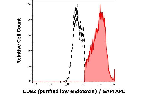 CD82 抗体