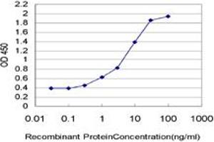 Detection limit for recombinant GST tagged PDZD8 is approximately 0. (PDZD8 抗体  (AA 949-1058))