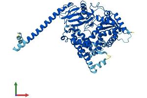 AlphaFold protein structure predicition of Human Recombinant CYP4F22 Protein, UniprotID Q6NT55