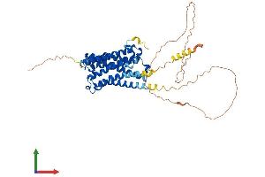 AlphaFold protein structure predicition of Human Recombinant CHRM2 Protein, UniprotID P08172 (Muscarinic Acetylcholine Receptor M2 Protein (AA 1-466) (His tag))