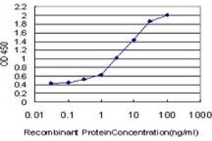 Detection limit for recombinant GST tagged RPS2 is approximately 0. (RPS2 抗体  (AA 198-293))