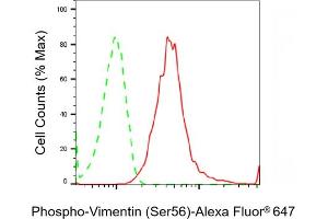 Flow cytometric analysis of Phospho-Vimentin (Ser56) expression in HeLa cells using Phospho-Vimentin (Ser56) antibody (ABIN7800834), 1:2,000).