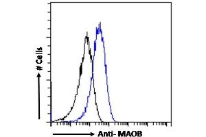ABIN185506 Flow cytometric analysis of paraformaldehyde fixed HepG2 cells (blue line), permeabilized with 0. (Monoamine Oxidase B 抗体  (Internal Region))