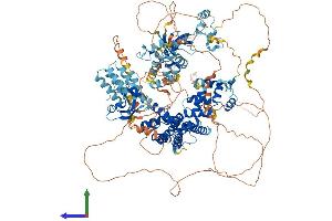 Protein Structure (PS) image for Glutamate Receptor, Ionotropic, delta 2 (Grid2) Interacting Protein (GRID2IP) (AA 1-1203) protein (His tag) (ABIN7563620)