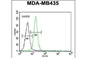 LIN28 Antibody (ABIN655496 and ABIN2845014) flow cytometric analysis of MDA-M cells (right histogram) compared to a negative control cell (left histogram).