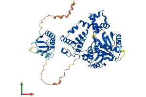 AlphaFold protein structure predicition of Human Recombinant DNTT Protein, UniprotID P04053