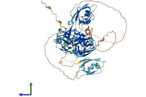 Protein Structure (PS) image for Ligand of Numb-Protein X 1 (LNX1) (AA 1-728) protein (His tag) (ABIN7562524)